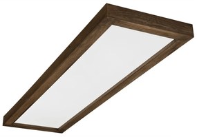 Brilagi-LED állítható fényű WOODY FRAME LED/50W/230V tölgy 120x30 cm IP44 +DO