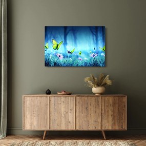 Kép - Misztikus erdei tisztás (90x60 cm)