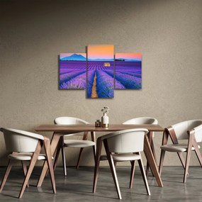 Kép - Levendula mező (90x60 cm)