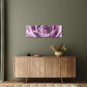 Egy rózsa virág részlete (órával) (90x30 cm)