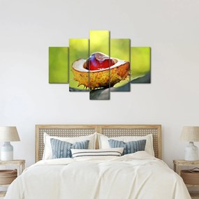 Gesztenye képe (150x105 cm)
