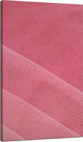 Vászonkép Absztrakt Színes színek 70x120