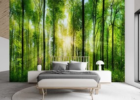 Gario Fotótapéta Napsugarak egy zöld erdőben Anyag: Vlies, Méret: 400 x 280 cm