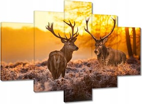 Képek 150x105 Szarvasok a hajnalban