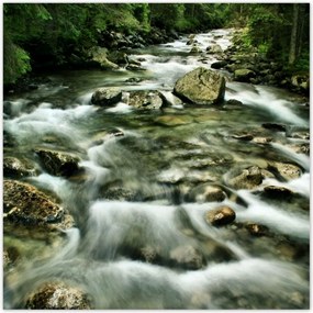Poszterek 100x100 Folyó a Tátrában