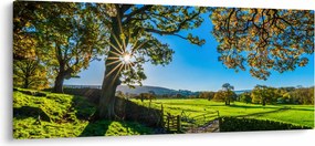 Kép - mező, kilátás (120x50 cm)