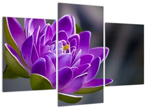 A virág képe (90x60 cm)