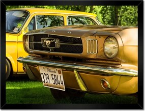 Poszterek keretben 40x30 Form Mustang made in Usa