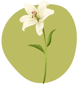 PIPPER. Textil falmatrica "Liliom"