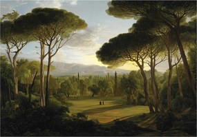 Fotótapéta Erdő Természet Fák Hálószoba Nappali Tapéta Flizelina 400x280