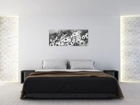 Kép - Százszorszépek (120x50 cm)