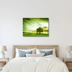 Kép - Az élet fája (70x50 cm)