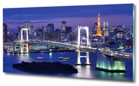 Üvegkép falra Bridge tokióban osh-46506945