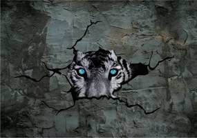 Fotótapéta Fehér tigris a falon vinil természet 208x146 +ragasztó