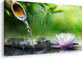 Kép - Lotus (90x60 cm)