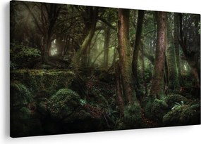 Kép - Titokzatos erdő (90x60 cm)