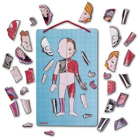 Janod - BODYMAGNET mágneses emberi test puzzle játék