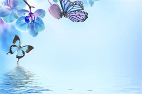 Kép - Pillangó orchidea virágon, kék (90x60 cm)