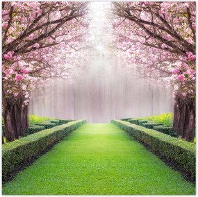 Poszterek 30x30 Gyönyörű virágok a nappaliba