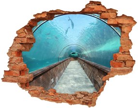 Fali matrica lyuk a falban Az alagút akvárium nd-c-82197217