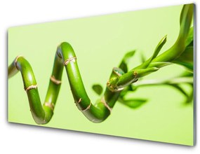Akrilüveg fotó Bambusz növény természet 120x60 cm