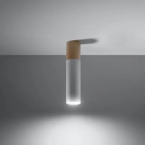 Sollux SL.0631 - Mennyezeti lámpa PABLO 1xGU10/40W/230V fehér