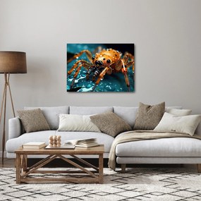 Kép - A pók részlete (70x50 cm)