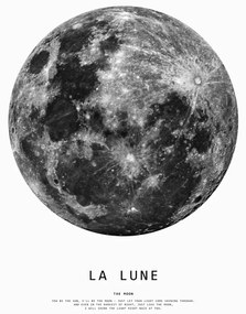 Illusztráció moon1, Finlay & Noa, (30 x 40 cm)