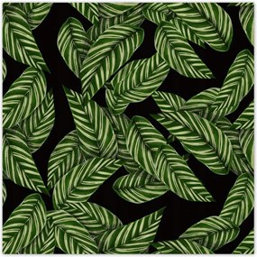 Poszterek 100x100 Zöld levelek Trópusok