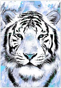 Poszterek 70x100 Tigris csillag türkiz