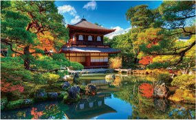 Fotótapéta Japán Kert Természet Növények 208x146