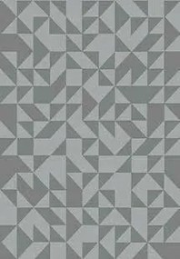 Flash Divatos Szőnyeg Fantastik 120X170 Szürke