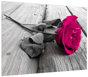 Rózsaszín rózsa képe (70x50 cm)