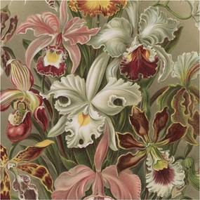 Fotótapéta Flizelin Design Divatos Virágos elegancia 250x250 Ragasztó