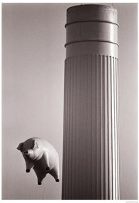 Plakát Pink Floyd - Animals – Inflatable pig 1976, (59.4 x 84 cm)