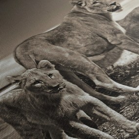 Fekete fehér tigris képe (120x50 cm)