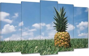 Festmények 100x60 Ananász tájkép