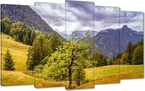 Festmények 100x60 Fa az égig