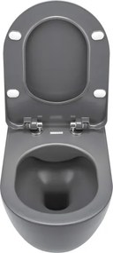 Peonia PN WC_anthracite
