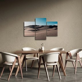 Kép - A sivatagból (90x60 cm)