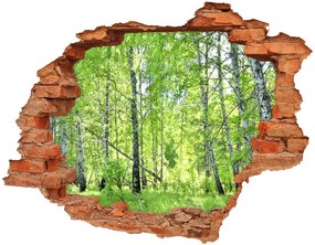 Fali matrica lyuk a falban Nyírfa erdő nd-c-84161730