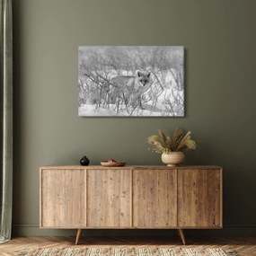 Kép - Róka, fekete, fehér (90x60 cm)