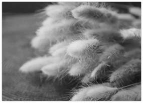 Üveg kép - nyúlfarknyi fű az asztalon (70x50 cm)