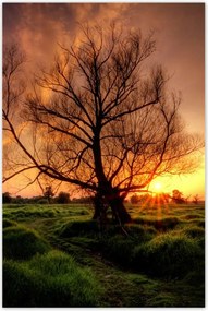 Poszterek 80x120 Egy este a croissant-ban