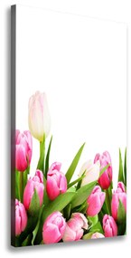 Vászonkép nyomtatás Rózsaszín tulipánok ocv-138798865