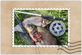 Poszter 60x40 Nagy friss hal