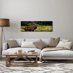 Szarvas képe (órával) (90x30 cm)