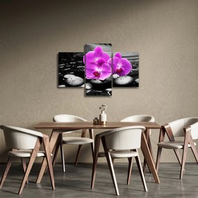 Kép - Lila orchideák (90x60 cm)