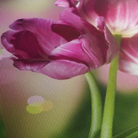 Rózsaszín tulipánok képe (70x50 cm)
