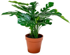 Monstera műnövény, zöld, 45cm
